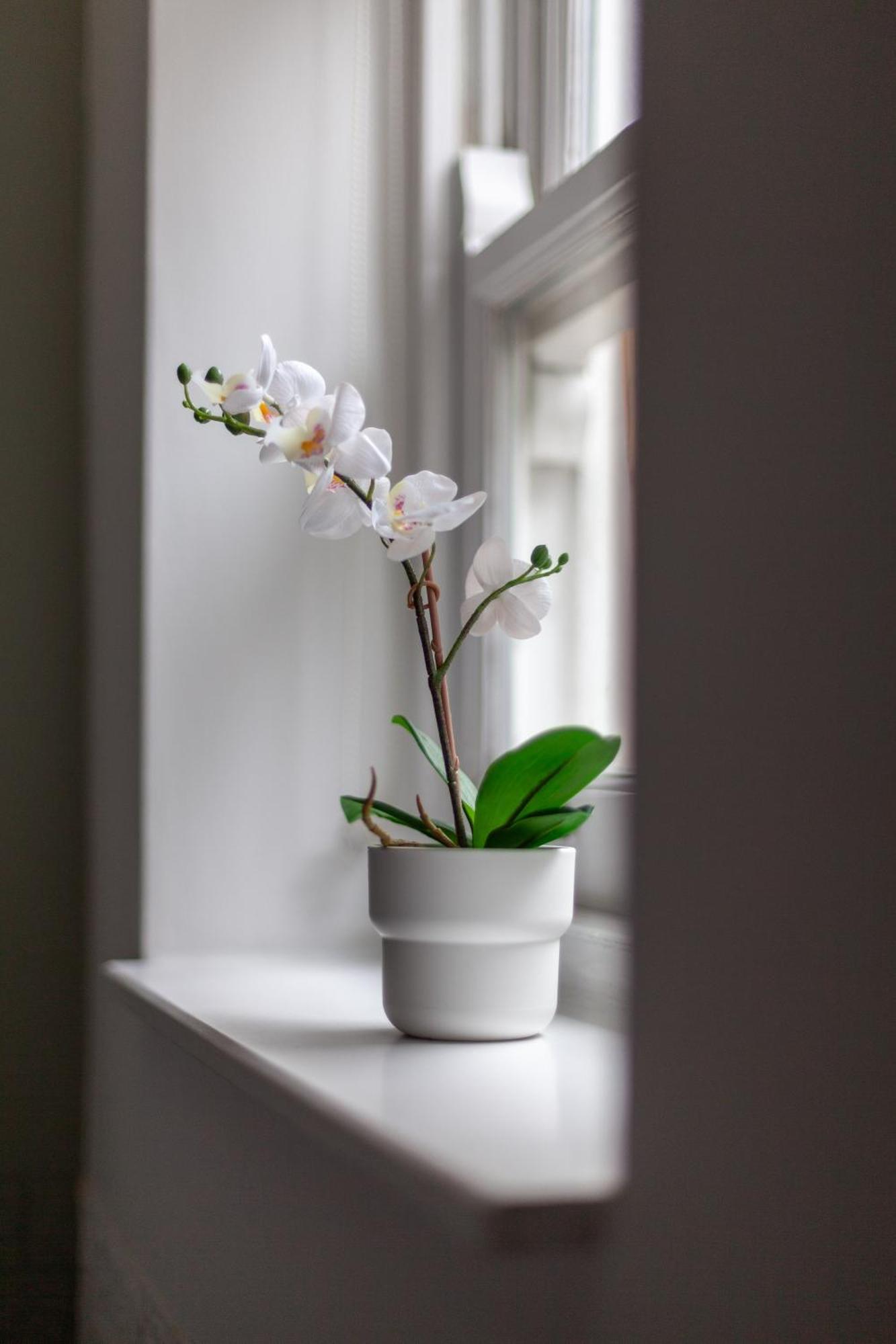 Apartamento The Hackney Luxury Flat Londres Exterior foto